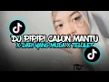 DJ PIPIPI CALON MANTU X DARI YG MUDA X TELOLET || @pramafvdrtn