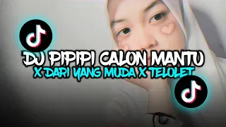 Download DJ PIPIPI CALON MANTU X DARI YG MUDA X TELOLET || @sarimurnirmx MP3