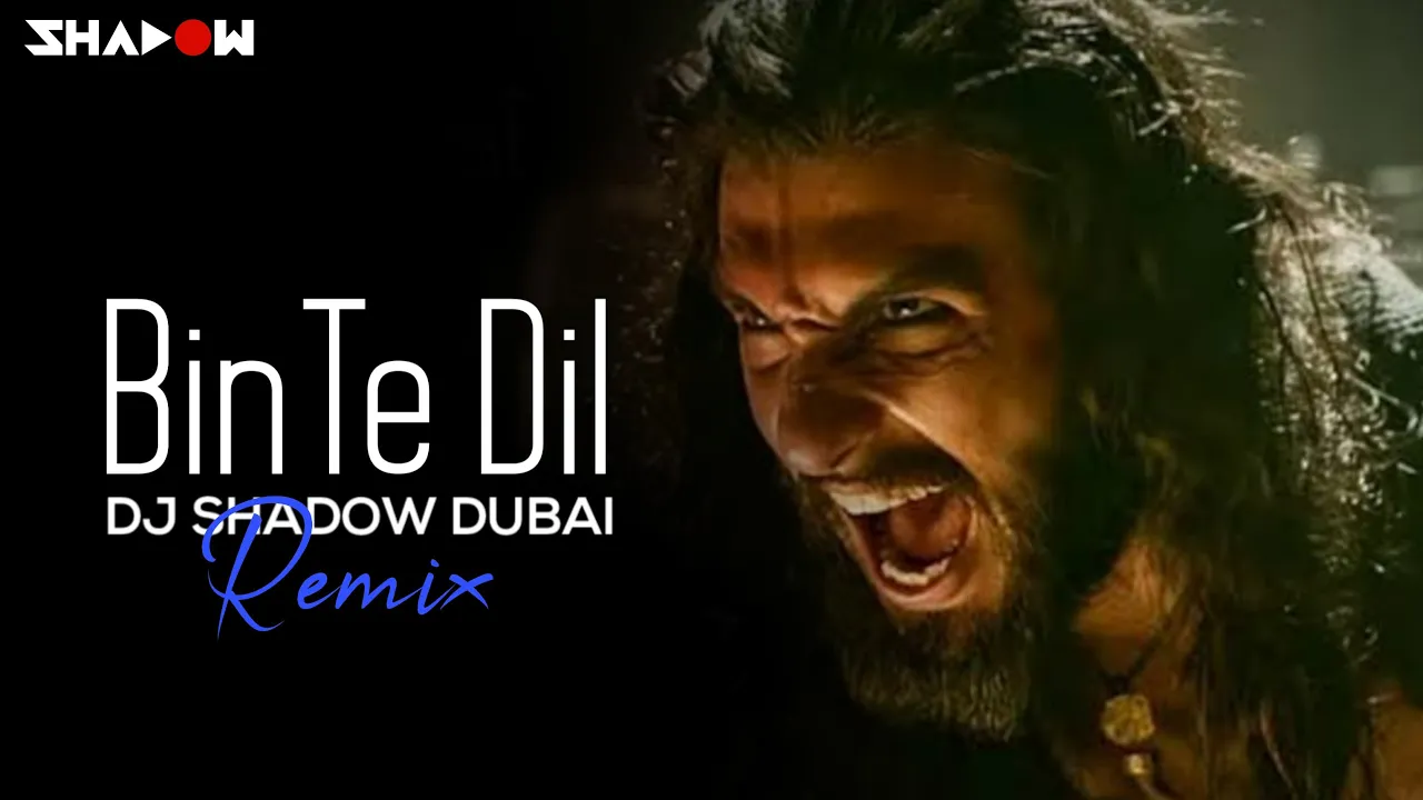 Binte Dil Remix | DJ Shadow Dubai | Padmaavat | Ranveer Singh | Deepika Padukone | Shahid Kapoor