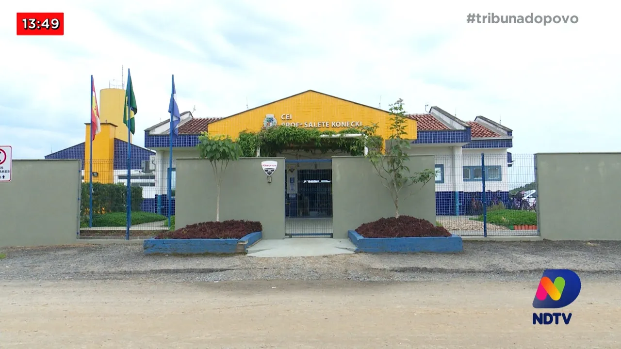 Ataque de abelhas: duas mulheres ficam feridas próximo de CEI de Joinville