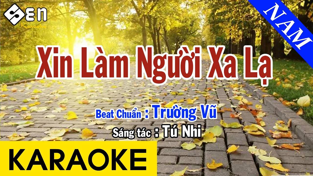 Karaoke Xin Làm Người Xa Lạ - Beat Chuẩn Tone Nam | Trường Vũ