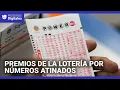 Como ganar en el sorteo Powerball Incluso con un solo numero atinado puedes recibir una recompensa