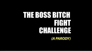 Download Boss Bitch Fight Challenge (A Parody) MP3