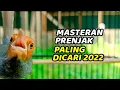 Download Lagu Suara Prenjak Gacor Nembak Ngotot Variasi Seperti ini Paling Bagus untuk Masteran/Pancingan,100% JOS