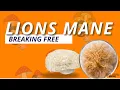 Lion s Mane BREAKS FREE The Wild Truth About Mycelium Growth