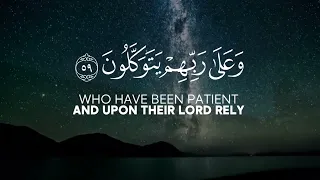 الذين صبروا وعلى ربهم يتوكلون   آيات قرآنية   قناة القرآن الكريم   القارئ عبد الرحمان مسعد دندنها