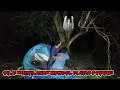 Download Lagu CAMPING HOROR $ 👻 AWALNYA SERU, TAPI TIBA-TIBA ADA KUNTILANAK GANTUNG DI ATAS POHON 
