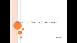 Mule Java part 1