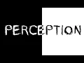 INTRODUCTION TO PERCEPTION Understanding Perception - Basics
