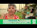 Estrella Insurance Franquicia Mi Estrella