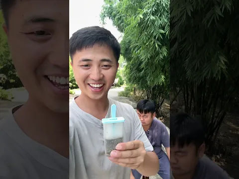Ermao made a popsicle out of sand for Songsong #funny
