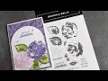 Begonia Belle - meet the July Product of the Month 2026 Stunning two