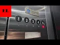 Large Thyssenkrupp Oildraulic Hydraulic Elevators - UGA Tate Student Center Athens GA