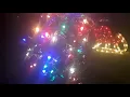 Sylvania Stay-lit 50 LED C9 Christmas Lights from Costco on a Magnolia Tree