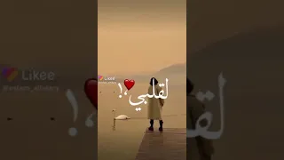  حبك لقلبي أحسن فيتامين حالات  واتس دندنها
