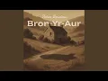 Lagu Bron-Yr-Aur