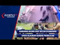 Lagu KOMPAS PAGI: Kawanan Anjing Gigit Bocah di Bandung Hingga Upaya Hijaukan Gunung Panenjoan