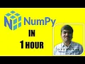 Learn Numpy in 1 hour