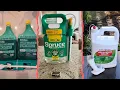 5 Best Pet-Safe Weed Killers 2026 That Actually Work