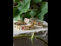 Download Lagu Elegant Multicolor Kundan Bangles for Women | Traditional Ethnic Jewellery by Sailaa