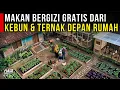 Lagu MAKAN BERGIZI GRATIS DARI KEBUN DAN TERNAK AYAM DEPAN RUMAH | CERITA USAHA