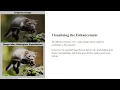 Histogram Equalization for Image Enhancement Manual Calculation Python Code Explanation