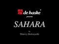 Download Lagu Sahara – Thierry Deleruyelle