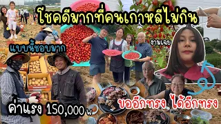 EP.1036 มะหลอดต้นใหม่ ดกเกือบหัก ไปถามค่าแรงพี่ๆ ที่สวน ออกแบบทรงผมที่ชอบ แต่ได้อีกทรงมาแทน 😅 งามเฉย