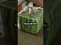 Download Lagu Square Watermelon Timelapse