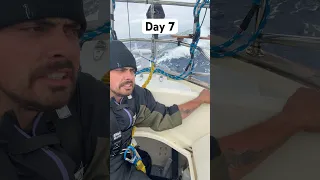 Day 7