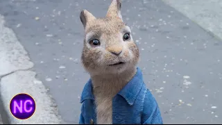 peter finds a dad in an unexpected place peter rabbit 2 the runaway now comedy