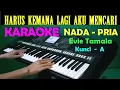 Download Lagu SEBUAH JANJI - Evie Tamala | KARAOKE Nada Cowok / Pria
