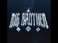 Big Brother - EGR