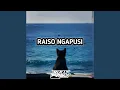 Download Lagu Raiso Ngapusi