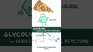 Clinical Cuts Glycolysis