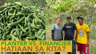 Planter vs. Financer: Paano Nilalabas ang Gastos? Paano at Kelan ang Hatiaan ng Kita?
