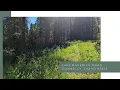 View this beautiful land for sale in Donnelly Idaho near Lake Cascade 2453 Maverick Road