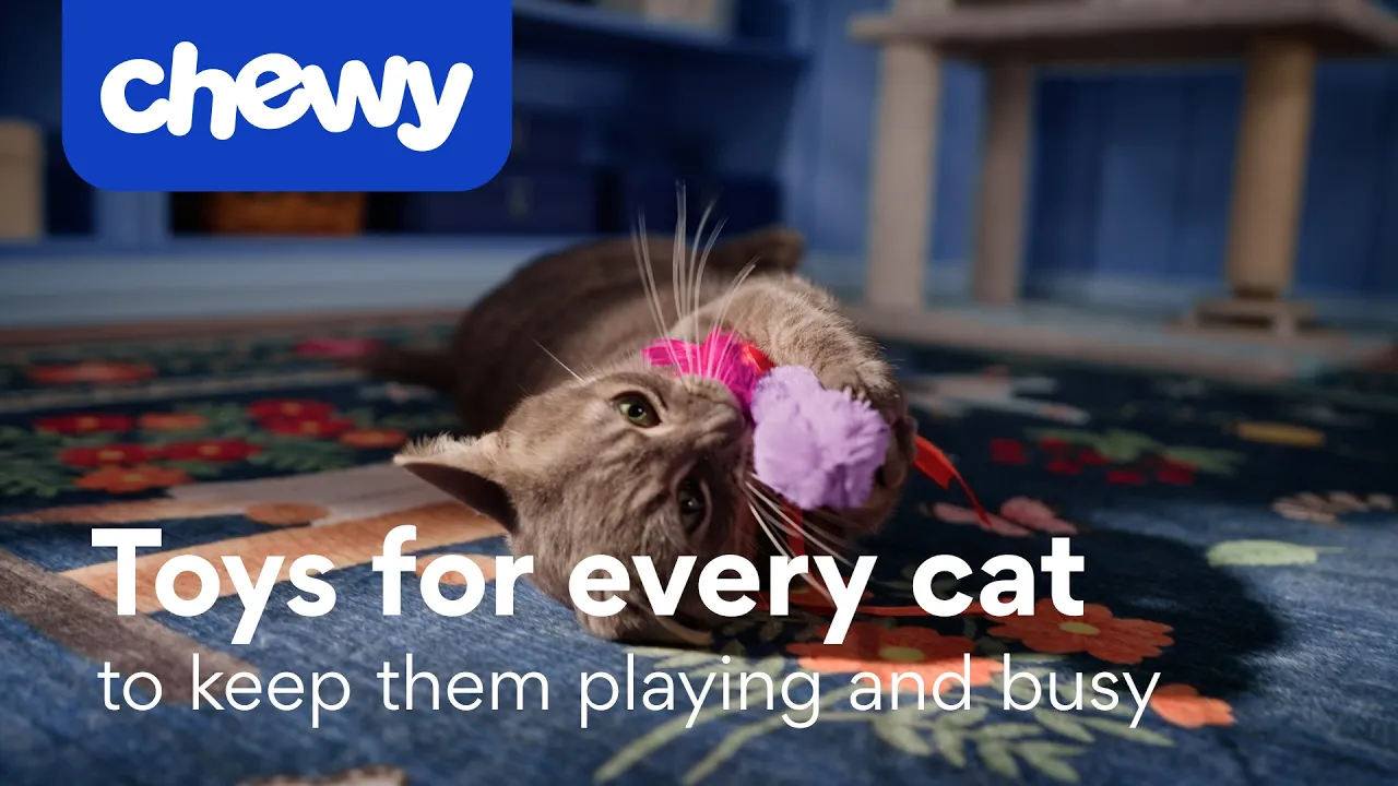 Chewy — Chewy — Cat Toys (YouTube video ad)
