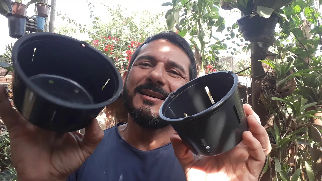 DICAS DE CULTIVO DE ORQUÍDEAS 240