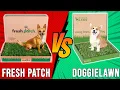 Fresh Patch vs Doggielawn - Which Potty Grass is Better Watch This Before You BUY