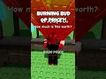 Download Lagu BURNING BUD IS INSANE 😱
