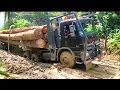 Lagu Logging Kalimantan🔥Jalanan sangat parah di musim hujan dan cukup sulit di lewati
