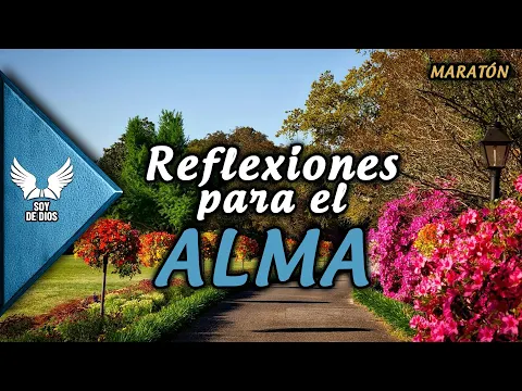 Download MP3 Frases y Reflexiones para el Alma ¦¦ Inspiración y Empoderamiento