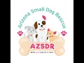 AZ Small Dog Rescue About Us