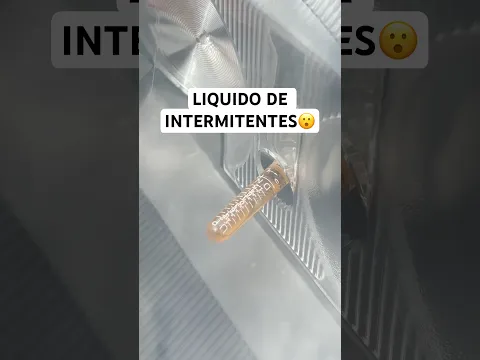 El único COCHE CON LIQUIDO DE INTERMITENTES