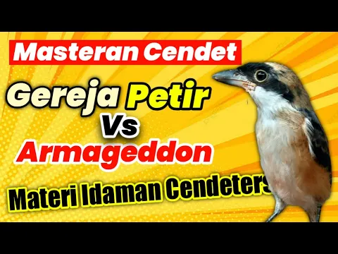 Download MP3 Masteran Cendet, Gereja Petir VS Armageddon Materi Idaman Cendeters