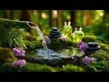 Peaceful Water Sounds 🌳 Relaxing Music | Mental Clarity \u0026 Calm