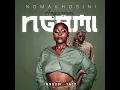 Nomakhosi- Angisafuni Ngami (official audio)