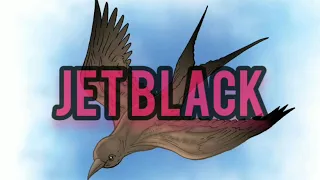 Download SP burung walet || JET BLACK mp3 MP3