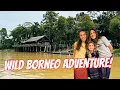 Download Lagu Discovering Borneo’s Wild Side: Sukau Rainforest Lodge Adventure!